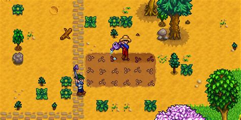 Stardew Valley：一個融合農場模擬與角色扮演的療癒奇遇！